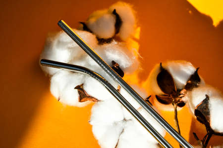 Reusable Metal Straws on yellow background - Stainless Steel, Eco-Friendly Drinking Straw Set. Stainless Steel Metal Straws, Reusable Comfortable Rounded tip Drinking Straws. Zero waste. Plastic freeの写真素材