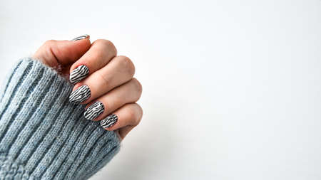 Hand in sweater with zebra animal printed nails. Female manicure. Glamorous beautiful manicure. Manicure salon concept. Nail polish close up.の写真素材