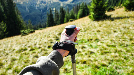 Trekking poles at top of mountain with beautiful view of autumn mountains. natural background. Hand holding trekking poles. Active leisureの写真素材