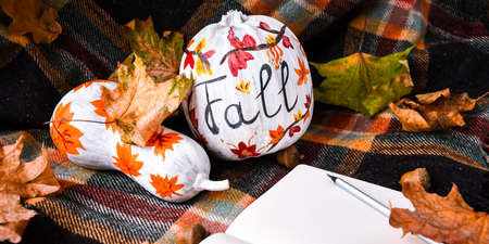 Beautiful painted autumn pumpkins. FALL writing on pumpkin. Autumn harvest. DIY. Autumn leaves season sweater cozy, hygge home decoration. Notebook with empty space Do it yourselfの写真素材
