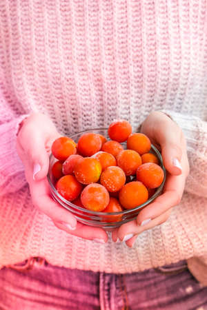 Female hands holding bowl with Frozen Cherry Tomatoes. Vegetable preservation. Harvest. Veganism, vegetarian healthy eating. Fitness dietの写真素材