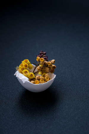 Easter DIY. Do it yourself. Trendy Easter decorations. Cracked organic eggs with dry grass and dry flowers on plate. Bird feather. Copy space. Greeting card. Dark background.の写真素材