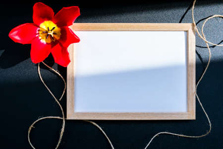 Mock up Greetings typing background. White blank condolence card with red tulip on the dark background. Fresh flowers. Empty place for a text.の写真素材