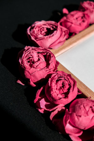 Holiday mock up, pink roses in frame for birthday, valentines mothers womans day, bouquet of flowers in the morning. Selective focus. Peoniesの写真素材