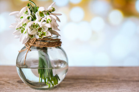Bouquet of snowdrops in a glass vase with water. Copy space for text. Early spring flowers. Holiday greeting cardの写真素材