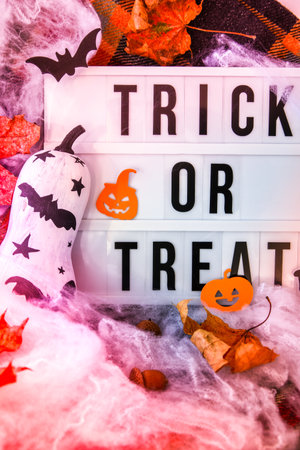 Lightbox with text TRICK OR TREAT Halloween background with painted face pumpkins and autumn leaves. Diy. Do it yourself. Halloween decorations, black and white pumpkins, bats, ghosts. Halloween party greeting cardの写真素材