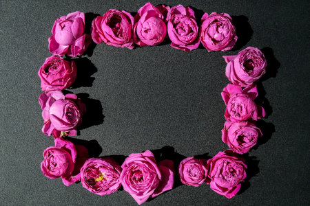 Holiday mock up, pink roses in frame for birthday, valentines mothers womans day, bouquet of flowers in the morning. Selective focus. Peoniesの写真素材