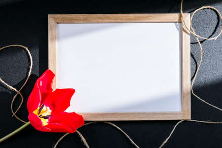 Mock up Greetings typing background. White blank condolence card with red tulip on the dark...