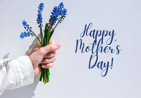 HAPPY MOTHERS DAY Female hands holding blue muscari flowers. Gift from child for mothers day. Small bouquet blue muscari. Florist in flowers shop. Spring flowers Postcardの写真素材