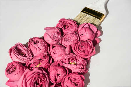 Paint brush drawing with pink flowers on white background. The concept of spring and international womens mothers day. Floral painting and decoration creative. Peonies rosesの写真素材