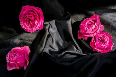 Pink rose flowers with black silk fabric. Valentines or womans mothers day background design. Minimal flat lay nature. Holidayの写真素材