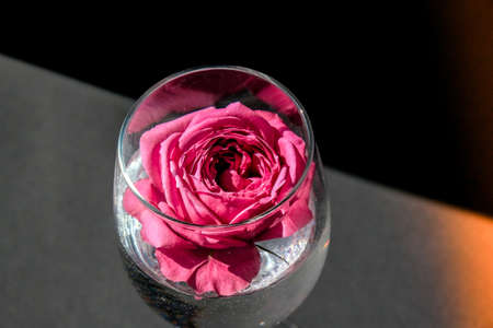 Wine glass filled with pink flower petalson table with black. Minimal modern still life. Holiday concept Valentines or womans day background design. Creative summer idea.の写真素材