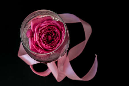 Wine glass filled with pink flower petalson table with black. Minimal modern still life. Holiday concept Valentines or womans day background design. Creative summer idea.の写真素材