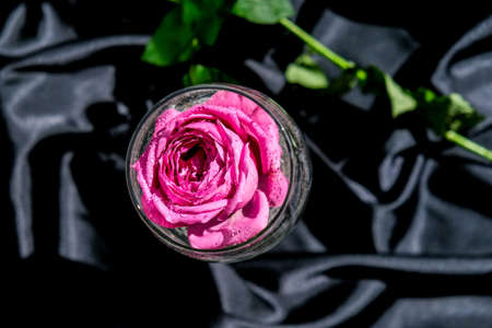 Wine glass filled with pink flower petalson table with black silk fabric. Minimal modern still life....