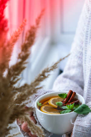 Female hands on sweater holding tea with lemon, cinnamon sticks and mint leaves. Hot drink. Healthy melissa tea natural organic aromatic drink in cup. Autumn winter warming drink. Cozy home Stay healthy herbal teaの写真素材