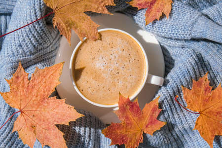 White cup of morning warming coffee on blue knitted sweater with maple yellow leaves background. Cozy home concept. Aesthetics blog lifestyle. Autumn Still life. Cappuccino or latte hot drink. Atmosphereの写真素材