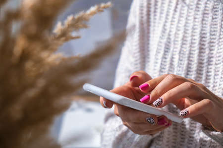 Woman holding Mobile phone. Pampas grass home decoration. Checking social media Morning routine at home. Aesthetics Cozy home workplace. Blogger lifestyleの写真素材