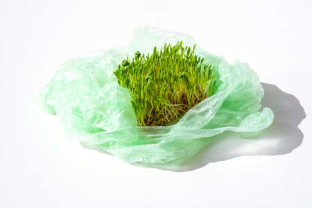 Young green plants in plastic bag. Ecology and Environment concept. Earth day concept. Global pollution of the planet. Seedling. Sustainable lifestyleの写真素材