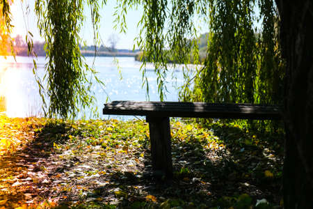 Forest park bench on the shore of a lake. Autumn weather mood nature in fallの写真素材