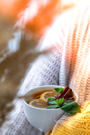 Female hands on sweater holding tea with lemon, cinnamon sticks and mint leaves. Hot drink. Healthy melissa tea natural organic aromatic drink in cup. Autumn winter warming drink. Cozy home Stay healthy herbal teaの写真素材