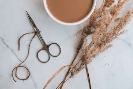 Manicure scissors with empty notebook and cup of coffee on table. Creative stylish workplace of manicurist. beauty treatment in modern salonの写真素材