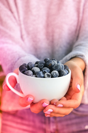 Woman holding bowl with Frozen blueberry fruits. Harvesting concept. Female hands collecting berries. Healthy eating concept. Stocking up berries for winter Vegetarian vegan foodの写真素材
