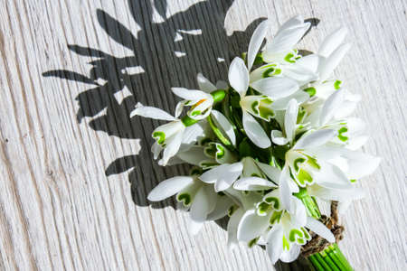 Bouquet of snowdrops on wooden background. Copy space. Holiday concept. Beautiful spring flowersの写真素材