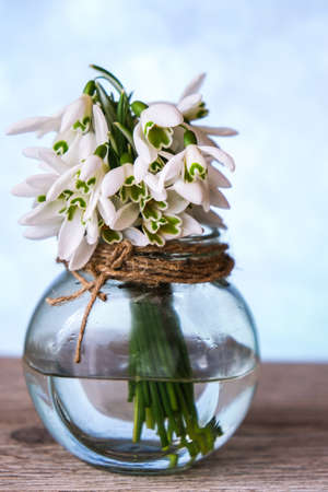 Bouquet of snowdrops in a glass vase with water. Copy space for text. Early spring flowers.の写真素材