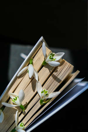 Snowdrop flowers on an old book. Early First spring flowers. Hello Spring. Still life with a book. Galanthus among pages of book.の写真素材