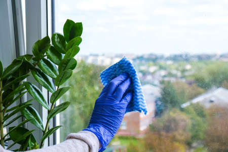 Employee hand in rubber protective glove with micro fiber cloth wiping window from dust. General spring cleaning. Housework and housekeeping conceptの写真素材