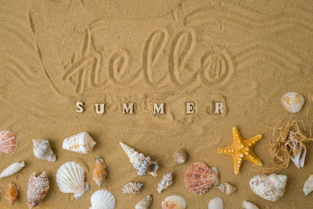 Composition with text HELLO SUMMER seashells, pebbles, mockup on sand background. Blank, top view, still life, flat lay. Sea summer vacation travel concept tourism and resorts.の写真素材