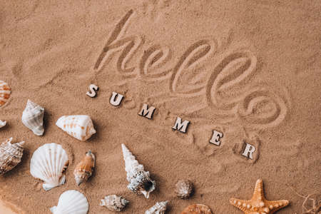 Composition with text HELLO SUMMER seashells, pebbles, mockup on sand background. Blank, top view, still life, flat lay. Sea summer vacation travel concept tourism and resorts.の写真素材