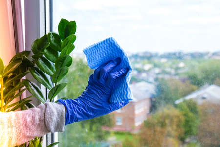 Employee hand in rubber protective glove with micro fiber cloth wiping window from dust. General...