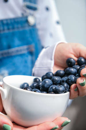 Woman holding bowl with fresh blueberries. Harvesting concept. Female hands collecting berries. The...
