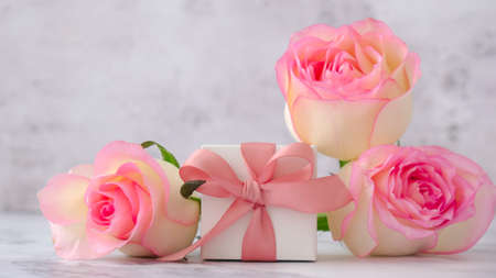 Gift box with tied ribbon bow pink roses on pink background. Greeting card. Present for springtime holidays Copy space for text. Valentines Mothers Womens dayの写真素材