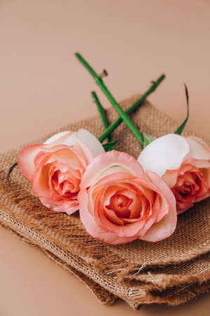 Delicate pink rose on beige background. Minimal trendy composition. Abstract art idea. Romantic...