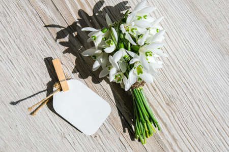 Bouquet of snowdrops on wooden background. Copy space. Holiday concept. Beautiful spring flowersの写真素材