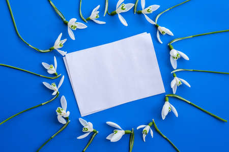 Flat lay composition with snowdrop flowers on color background, blank sheet of empty paper tag copy space for text. Holiday mock upの写真素材