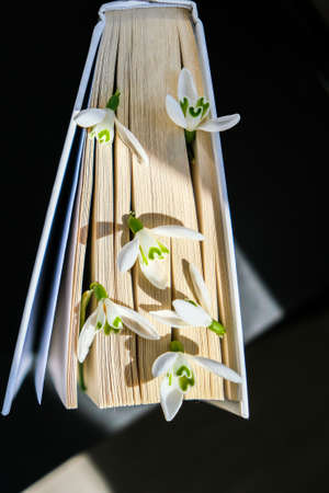Snowdrop flowers on an old book. Early First spring flowers. Hello Spring. Still life with a book....
