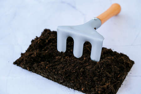 Garden tools. Gardening tools on concrete background flat lay. Plant flowers for garden. Tools spade, fork, hand cultivator, hoe and pot with soilの写真素材