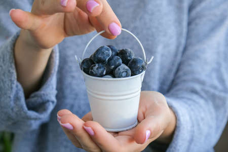 Woman holding metal bucket with Frozen blueberry fruits. harvesting concept. Female hands collecting berries. Healthy eating concept. Stocking up berries for winter Vegetarian vegan food. Diet nutritionの写真素材