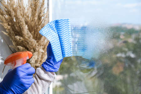 Woman in Blue Gloves Cleaning a Window Using Sprayed Liquid and micro fiber cloth wiping window from dust. General spring cleaning. housework and housekeeping concept. polishing the windowの写真素材