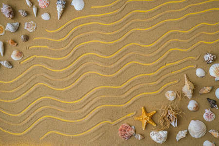 Composition frame for copy space, seashells, pebbles, mockup on sand background. Blank, top view, still life, flat lay. Sea vacation travel concept tourism and resorts. summer holidaysの写真素材