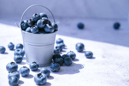 Blueberries in a small Bucket on concrete background. Healthy organic seasonal fruit background. Organic food. Healthy summer snack. Copy space Superfood. Good vision. Keep eyes healthyの写真素材