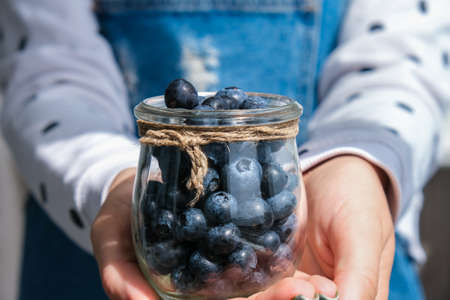 Woman holding bowl with fresh blueberries. harvesting concept. Female hands collecting berries. The concept of vegetable garden cottage harvest gardening. healthy eating nutritionの写真素材