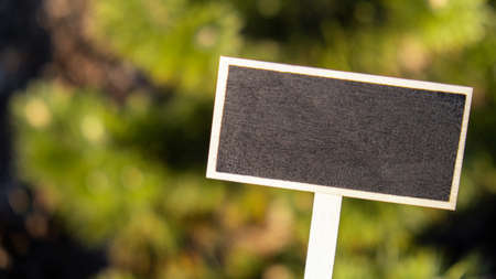 Empty mockup template Wooden information label sign with black chalkboard label against defocused nature green background. Copy space for text. Environment friendly Earth day Green energyの写真素材