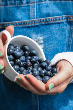 Woman holding bowl with fresh blueberries. harvesting concept. Female hands collecting berries. The concept of vegetable garden cottage harvest gardening. healthy eating nutritionの写真素材