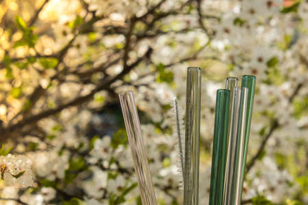 Reusable glass Straws on nature background with green leafs spring flowers Eco-Friendly. Zero waste, plastic free concept. Sustainable lifestyle. Picnic conceptの写真素材