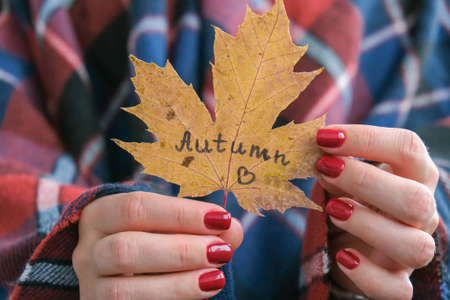 Stylish red female nails. Fall leaf with text AUTUMN in hands. Modern Beautiful manicure. Autumn winter nail design concept of beauty treatment. gel nails. skincare. wellness. trendy colors.の写真素材