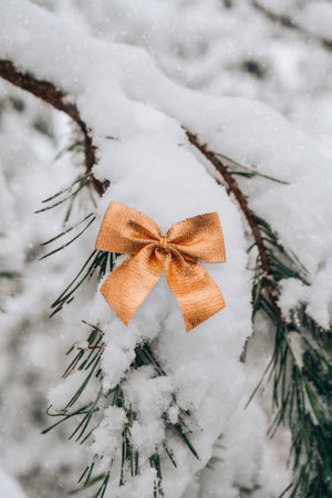 Snow covered Gold tied bow on fir branch on winter snowy background with copy space. Merry Christmas Happy New Year greeting card postcard. Gold ribbon Christmas decoration. minimalist designの写真素材
